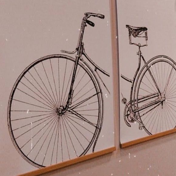 Meet your Posher, Abbey - Picture 1 of 1